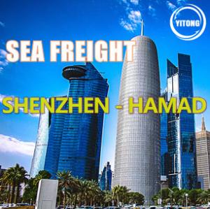 Quality China Shenzhen To Hamad Qatar International Cargo Logistics 17 Days wholesale