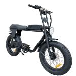 Fat Tire 73 Electric City Bike Front Suspension 48V 500W 750W Electric Bicycle
