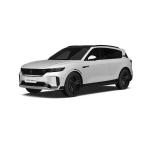 2025 VOYAH FREE 318 China New Energy Vehicle SUV Range 318KM Rear-Wheel Drive