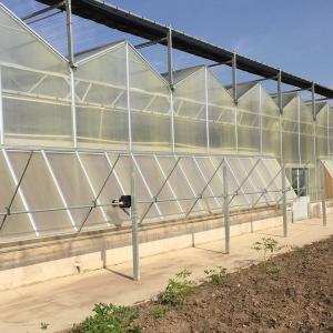 Quality Commercial Polycarbonate Greenhouse for Versatile Vegetable Fruit and Flower Cultivation wholesale