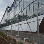 3mm 4mm Tomato Venlo Portable Glass Greenhouse Roof And Side Ventilation Control