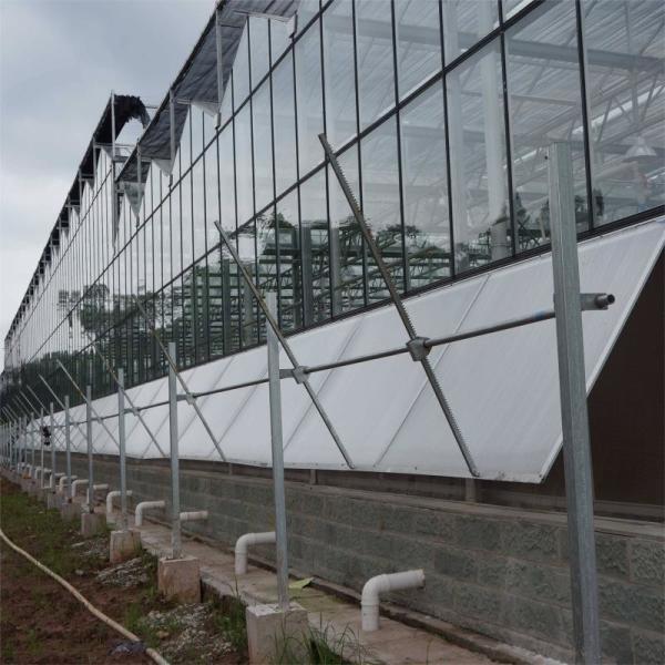3mm 4mm Tomato Venlo Portable Glass Greenhouse Roof And Side Ventilation Control