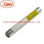 RTE Bayonet Fuses For Mutual Inductor Protection
