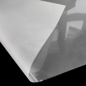 Quality 0.075mm Thickness DTF PET Release Film Printing Screen Pet Heat Transfer Film wholesale