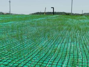 Quality Geocomposite Vegetation Coconut Fiber Mat Reinforced By Nonwoven And Geogrid wholesale