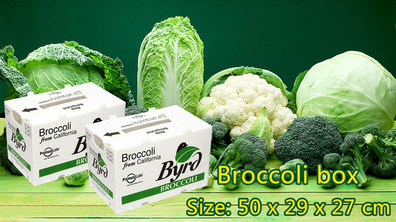 Correx Fruit Corrugated Boxes Custom Corrugated Plastic Boxes For Corn