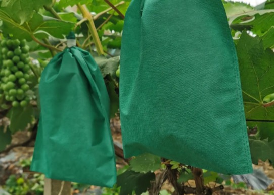 Cold-proof Agricultural Nonwoven Good Breathability Superior Thermal Insulation Cultivation Bag