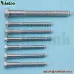 Lag Screw