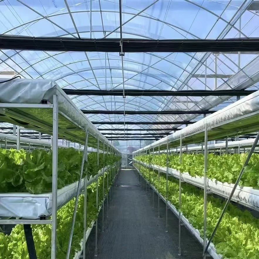 Innovative Multi-Span Film Greenhouse for Vertical Farming