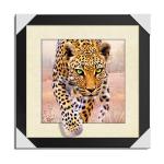 Customised 3D Lenticular Pictures 40x40cm Animal Images