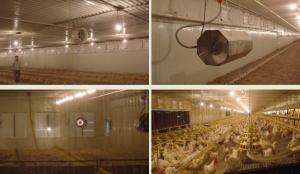 Quality Trade show: CAHE - China Animal Husbandry Expo 2012 Nanjing - - NorthHusbandry wholesale