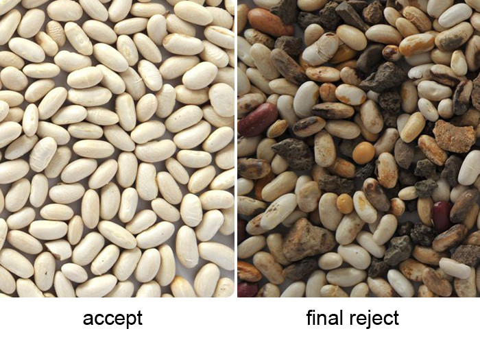High Sorting Accuracy White Bean Color Sorter Sorting Machine For Bean Separating