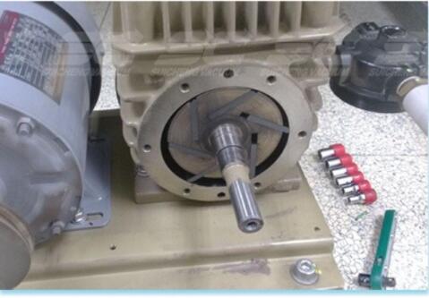 Graphite Blade for Pump Vacuum 225 Vane Vacuum Pump Rotor and Blades Carbon Vane