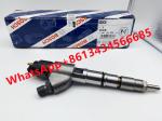7420798114 Diesel Fuel Injector For Renault 0445120066 0445120470 20798114