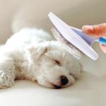 Anti - Rust Pet Hair Brush / Dog Dematting Tool Rotatable Waterproof Easy Clean