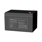 Leoch Battery DJW12-12 12V12Ah for Solar Energy Storage Power System Lighting