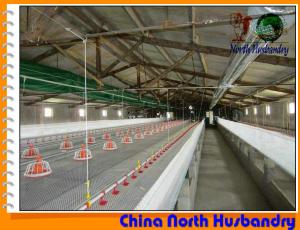Quality Breeder Cage System of Poultry Cages - Poultry Farm wholesale