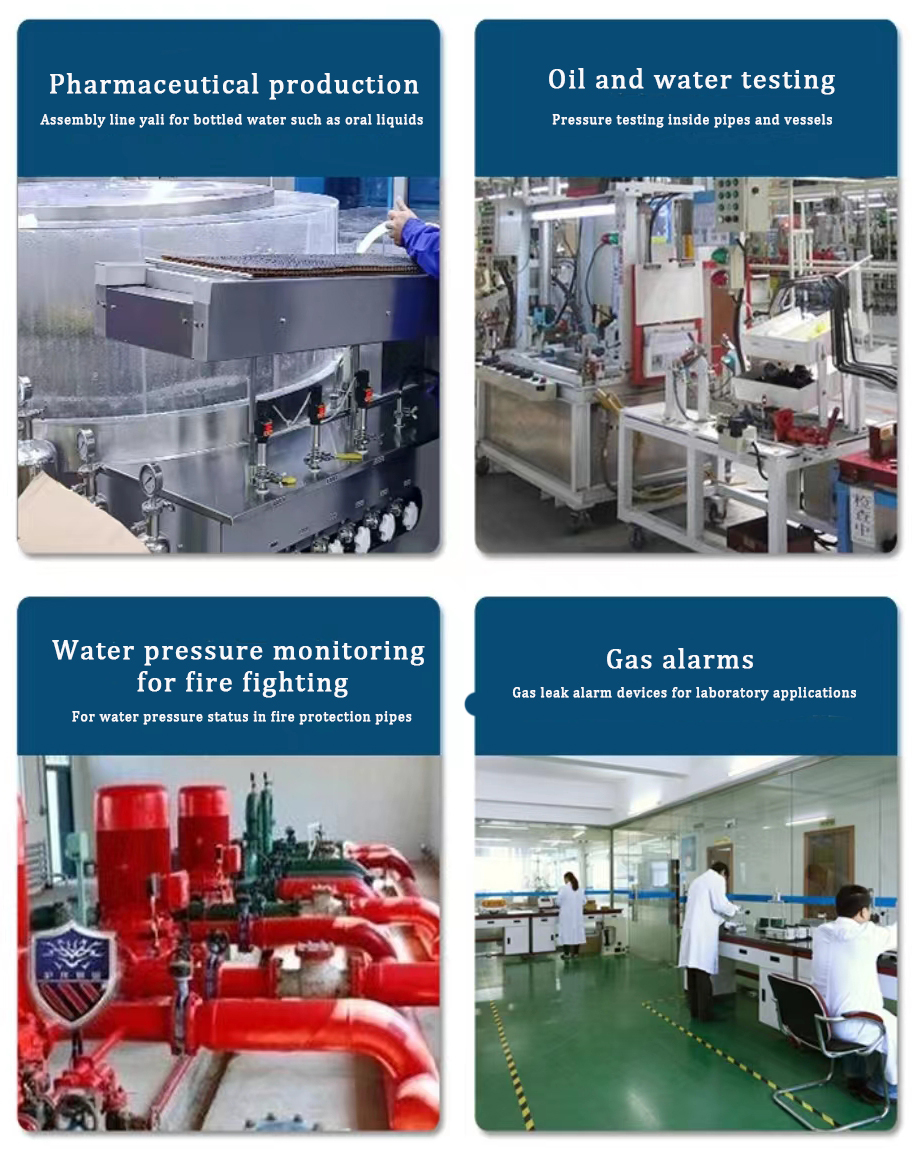 AFK R31 25MPa High Pressure Gas Regulator For Helium Chlorine Ammonia Argon Nitrogen