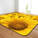 Rose Flower Living Room Floor Carpets Commercial Restaurant Carpet 80*120cm