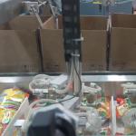 Multifunction Biscuit Packing Line Snack Food Automatic Carton Box Packing
