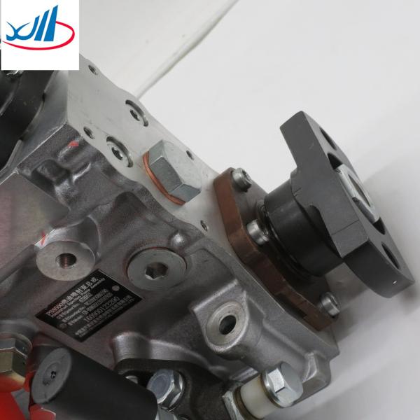 Cheap Best selling Fuel injection pump VG1095080190 for sale