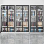 Commercial Furniture Modern Boss Cabinet Office Wooden File Combination Bookcase