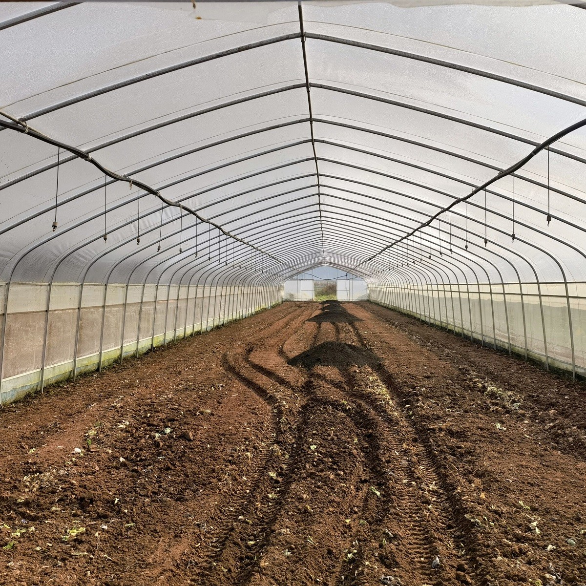 Galvanized Steel Frame Pe Film Greenhouse Single Span Greenhouse Tunnel 30 X 10 Meters