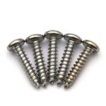SS AISI 410 Stainless Steel Phillips Drive Pan Head Self Tapping Metal Screws AB