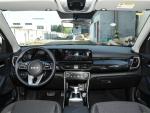 Kia CYTUS1.4T DCT Premium Luxury Edition Compact SUVMcPherson Independent