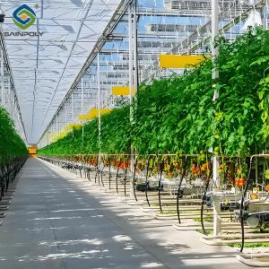 Quality Agriculture Multi Span Greenhouse For Tomato Plants And Cucumber Growing wholesale
