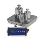 30Kg 60Kg 150Kg 300Kg 600 Kg Platform Scale Weighing Scale For Industrial Use