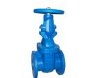 (bs) Cast Iron Metal Gate Valve O&Y flanged ends