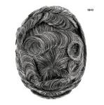 Mens Toupee Human Hair Replacement SystemFrench Lace Poly Skin Hairpieces