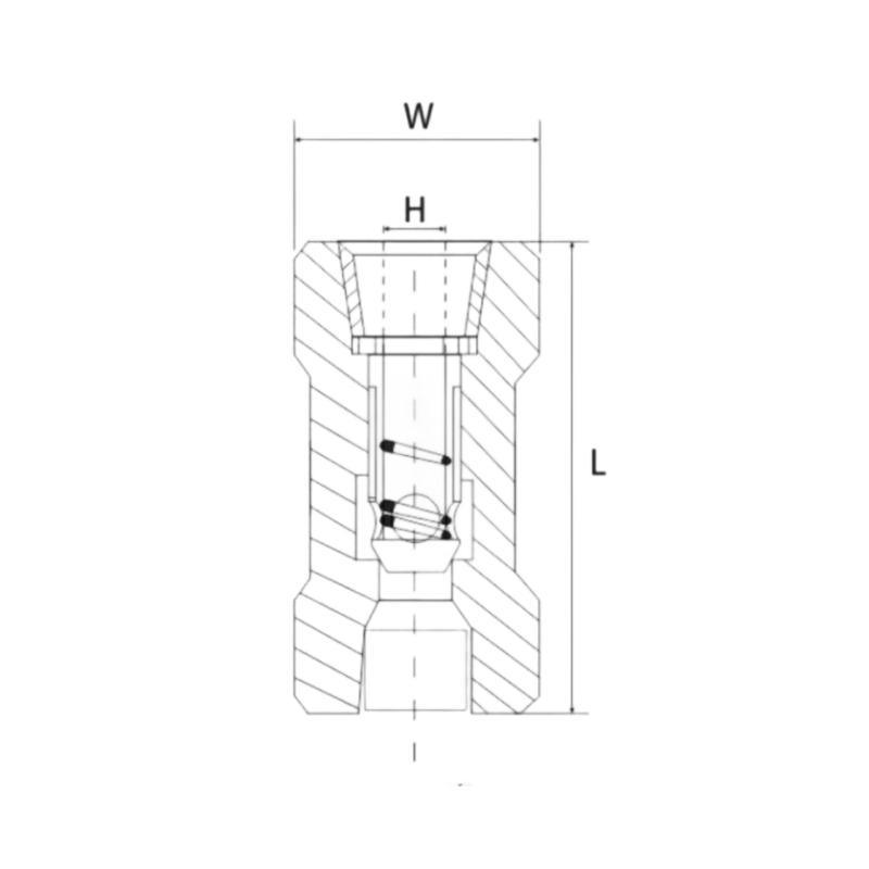 Female Thread Split Non-Return Valve 304 316 Stainless Steel with High Pressure