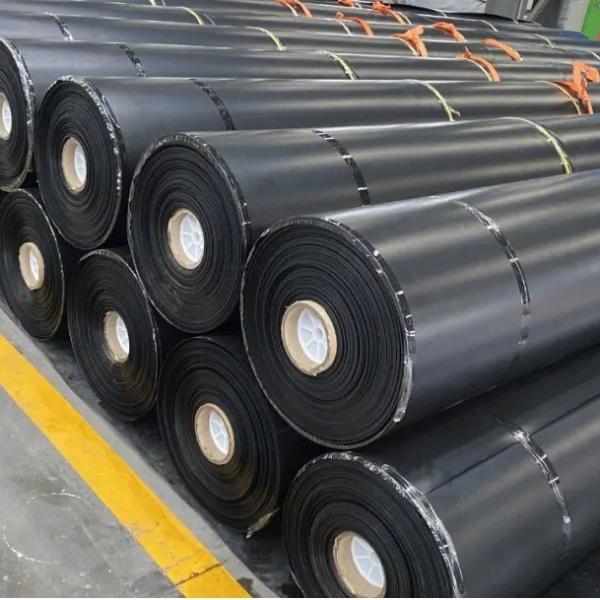 Modern Design 0.85mm-2.0mm HDPE Black Agricultural Plastic Film for Fish Farm