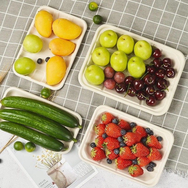 Natural Color Rectangular Compostable Sugarcane Bagasse Sustainable Sushi Trays Plates