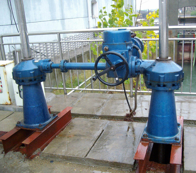 Manual Double Lifting Point Worm Screw Hoist Moisture Proof Highly Efficient