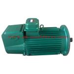 Single Phase Electric Generator Motor (YL-90L4) 50Hz 220V Electric Three Phase