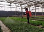 Hollow Glass Style Agricultural Greenhouse With Hot Galvanized Steel Frame