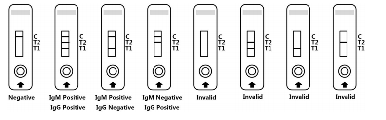 Whole Blood Rapid IgM IgG Antibody Test Neutralizing Antibody Test Kit