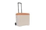 Fishing BBQ Ice Cooler Box PU Foam Insulation For Camping