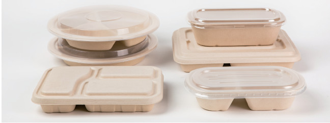 Takeaway Biodegradable Disposable Dinnerware / Sugarcane Pulp Containers