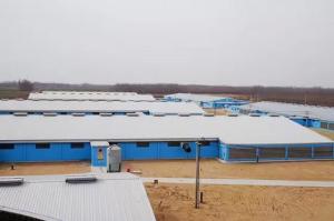 Quality Galvanized Steel Structure Poultry House GB Standard wholesale
