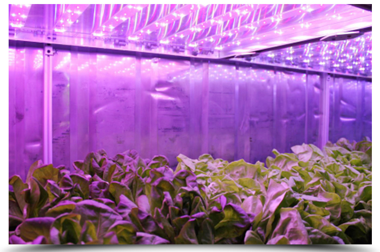 Ventilation fan 40ft Container Greenhouse for Advanced Plant Growth