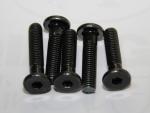 Black plated Philip's head PA Screws,stainess steel,iron,size and color as per