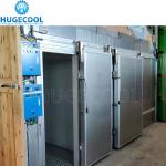 Industrial freezer room cold storage room meat ice cream freezer cold freezing