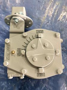 Quality Partial Turn 90° Ip68 Worm Wheel Gearbox wholesale