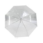 Clear Canopy Umbrella for Rain Fiberglass Ribs and Customized Design 23 Inches