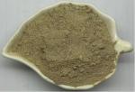 Single Cell Protein Feed Probiotics Lysine Fermentation Bacterial Protein