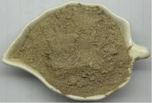 Single Cell Protein Feed Probiotics Lysine Fermentation Bacterial Protein